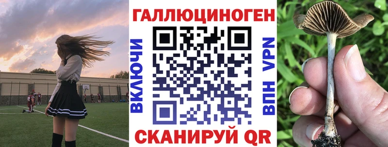 Псилоцибиновые грибы GOLDEN TEACHER  Купить  Ржев 
